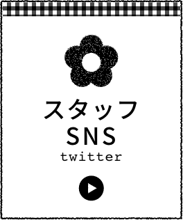 スタッフSNS